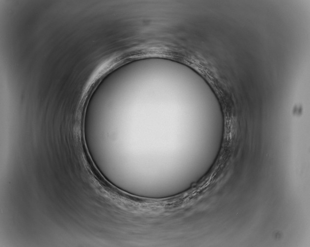 X0000098210004200805011221