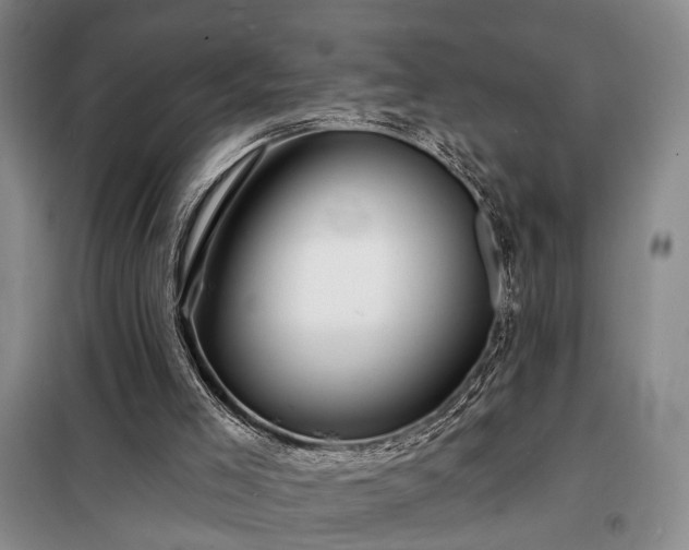 X0000098210005200805011221