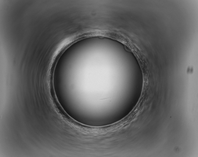 X0000098210006200805011221