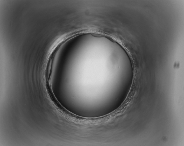 X0000098210007200805011221
