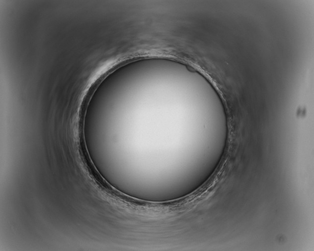 X0000098210008200805011221