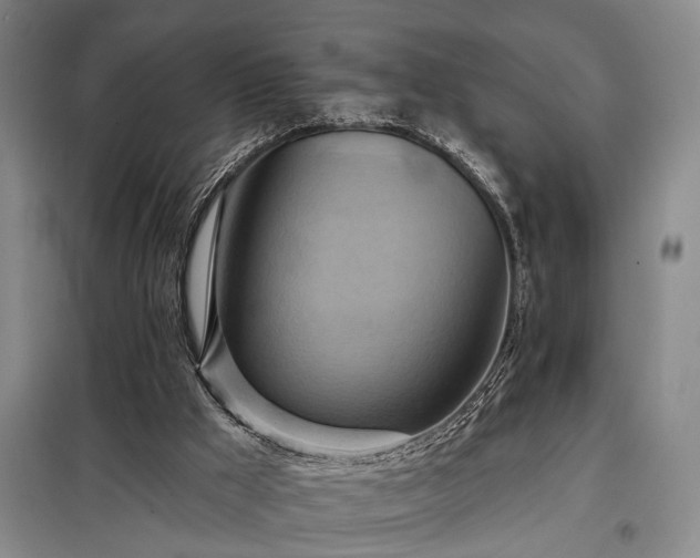 X0000098210009200805011221