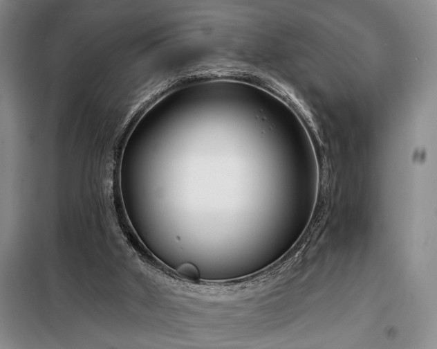 X0000098210010200805011221
