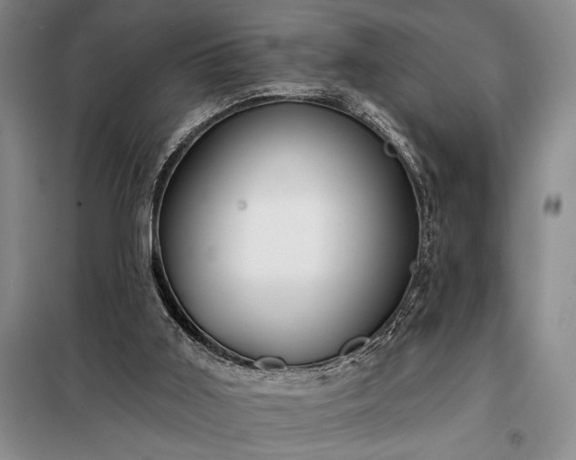 X0000098210011200805011221
