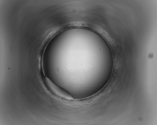 X0000098210014200805011221