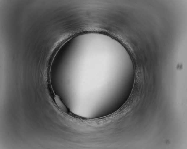 X0000098210015200805011221
