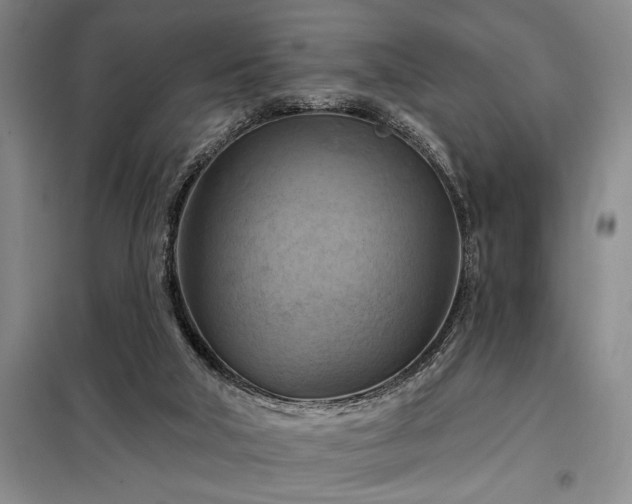 X0000098210018200805011221