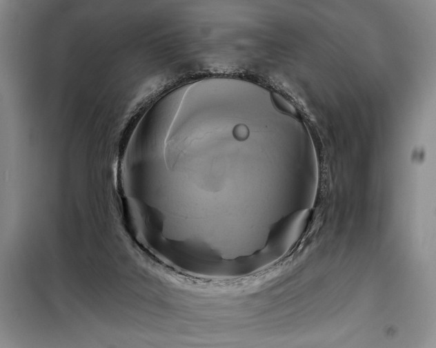 X0000098210019200805011221