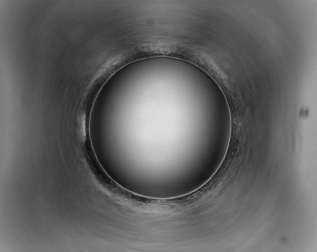 X0000098210020200805011221