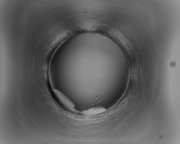 X0000098210023200805011221