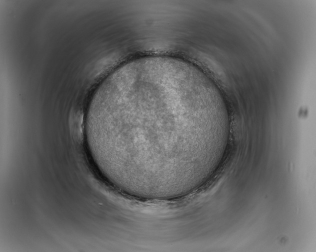 X0000098210024200805011221