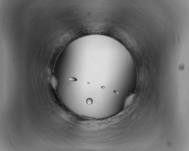 X0000098210025200805011221