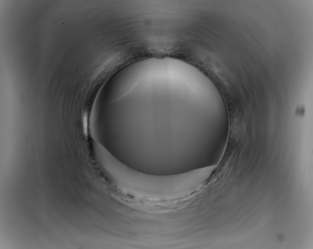 X0000098210027200805011221