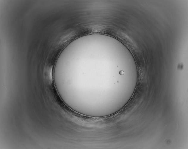 X0000098210028200805011221