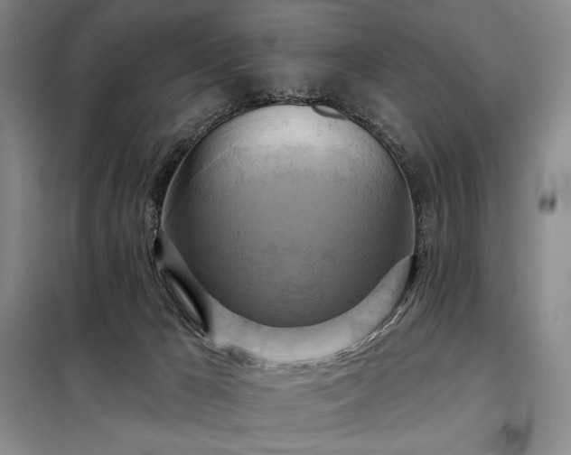 X0000098210029200805011221