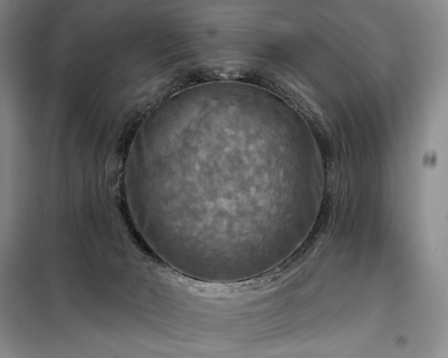 X0000098210030200805011221