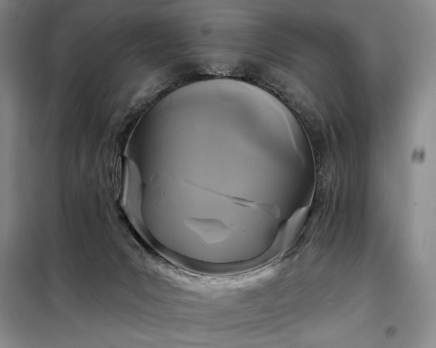 X0000098210031200805011221