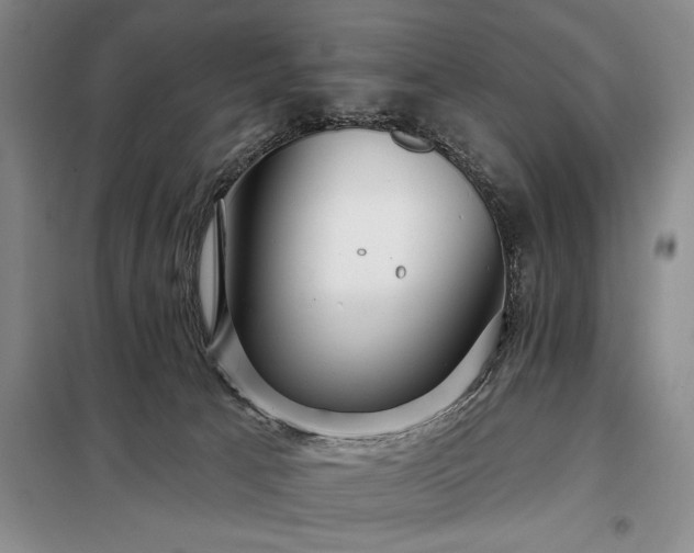 X0000098210033200805011221