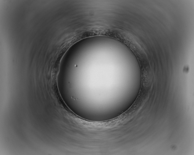 X0000098210034200805011221