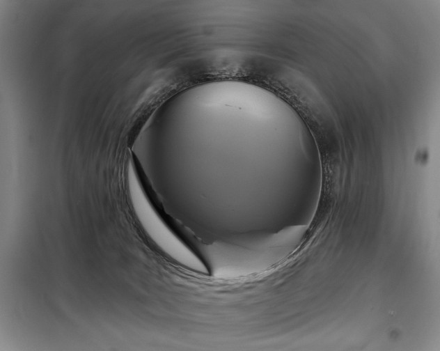 X0000098210035200805011221