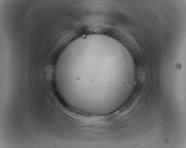 X0000098210036200805011221