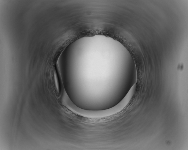 X0000098210037200805011221