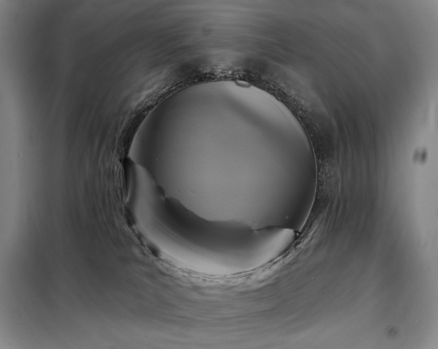 X0000098210039200805011221