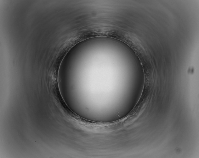 X0000098210040200805011221
