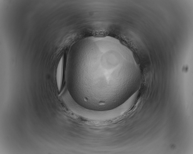 X0000098210041200805011221