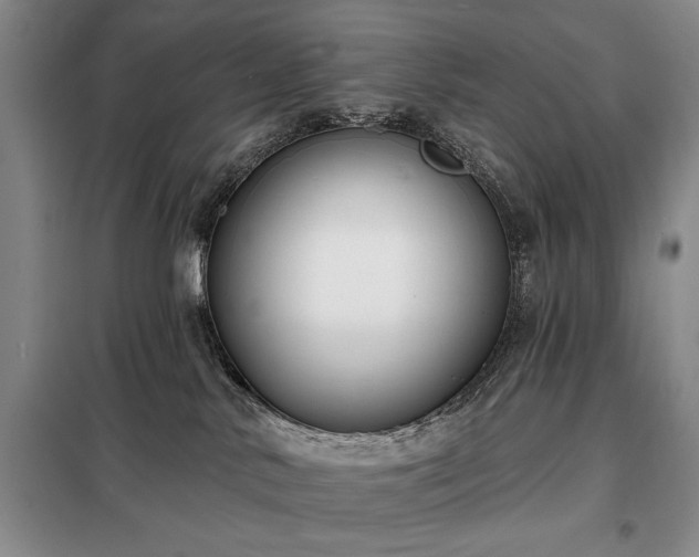 X0000098210042200805011221