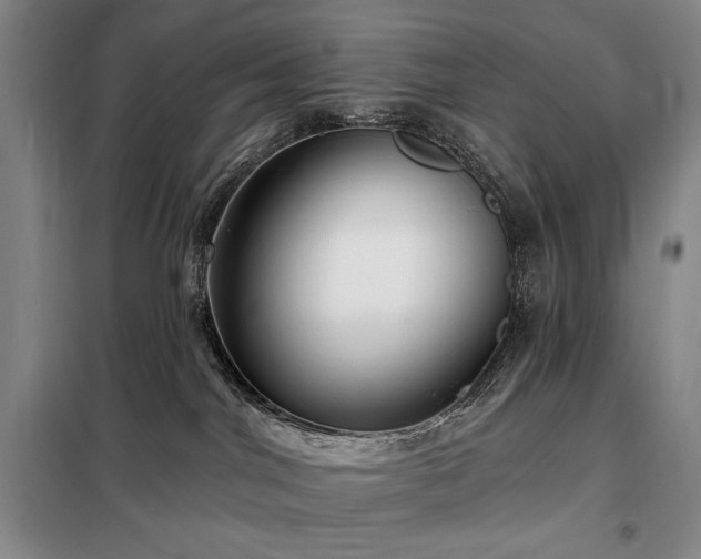X0000098210044200805011221