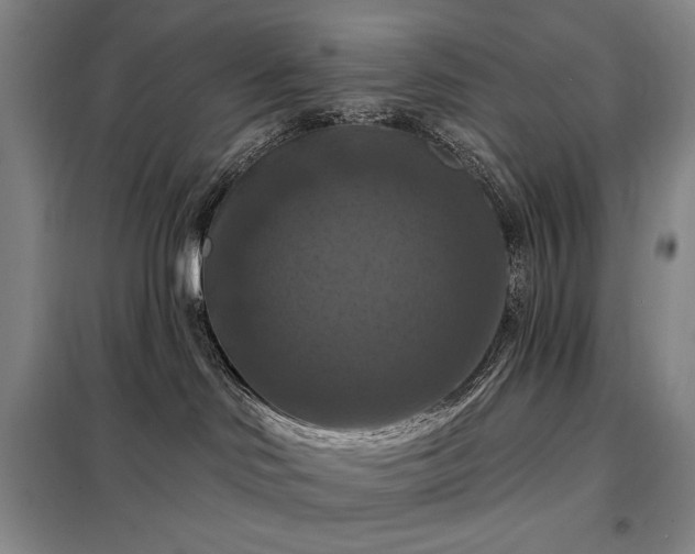 X0000098210046200805011221