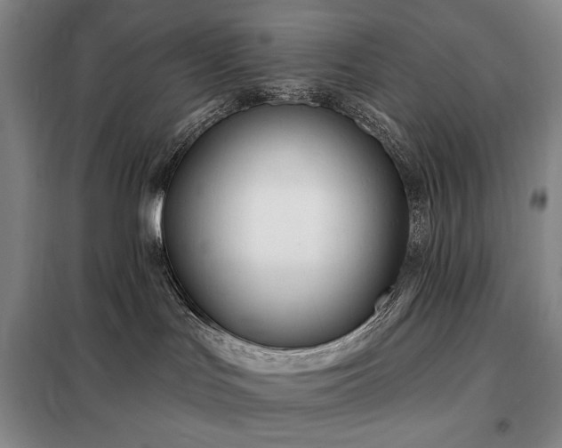 X0000098210047200805011221