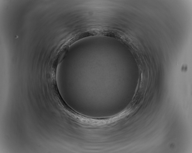 X0000098210048200805011221