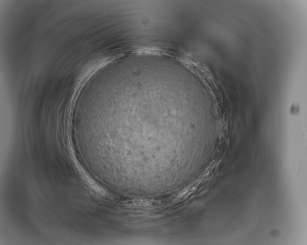 X0000098210049200805011220
