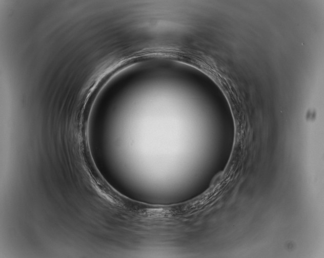 X0000098210050200805011220