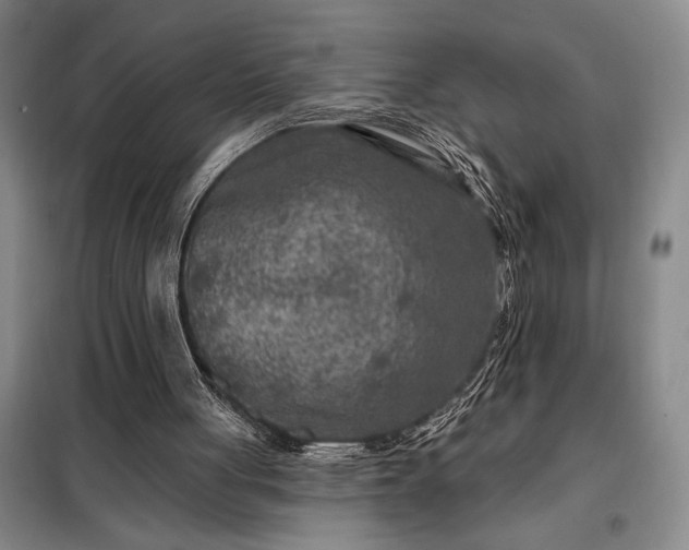 X0000098210051200805011220