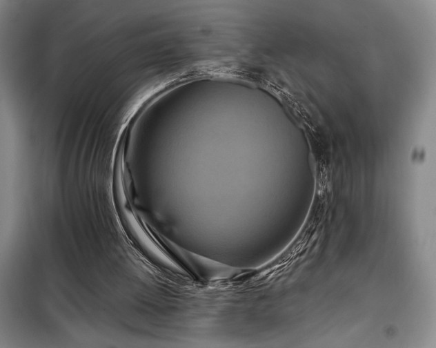 X0000098210052200805011220