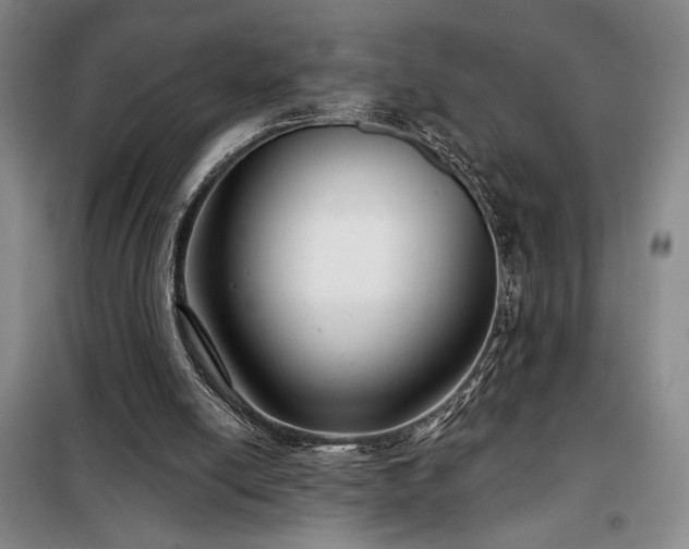 X0000098210054200805011220