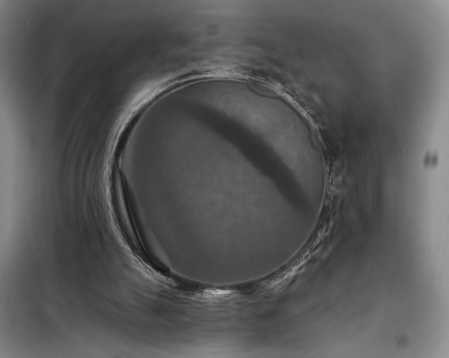 X0000098210055200805011220
