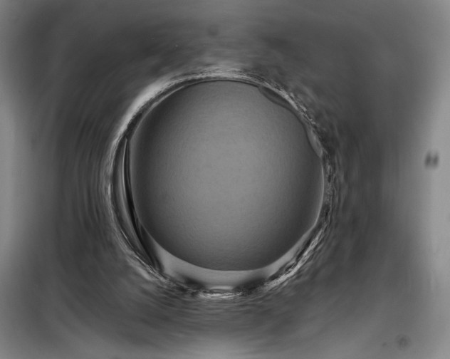 X0000098210056200805011220