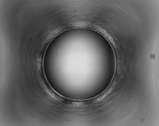 X0000098210057200805011220