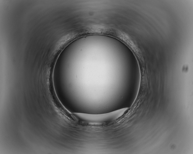 X0000098210058200805011220