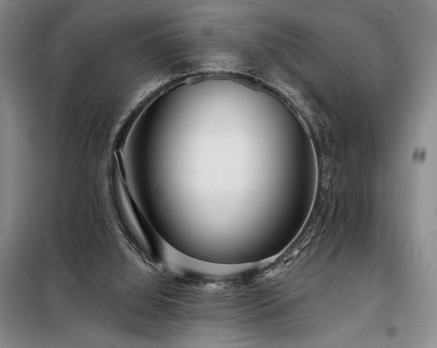 X0000098210060200805011220