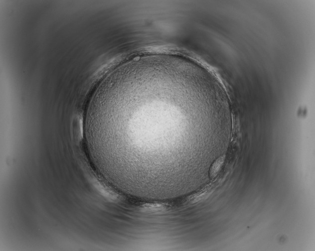 X0000098210061200805011220