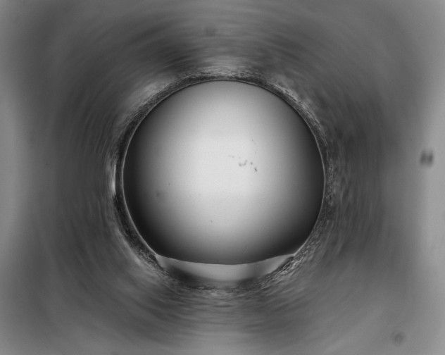 X0000098210062200805011220