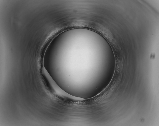 X0000098210064200805011220