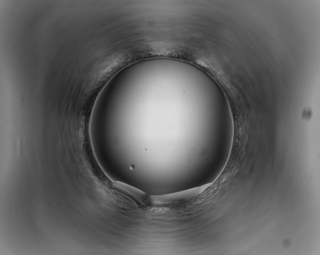 X0000098210066200805011220