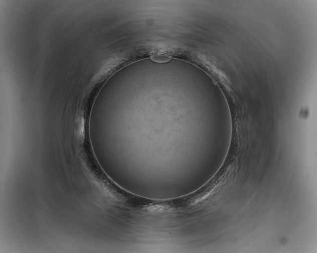 X0000098210067200805011220