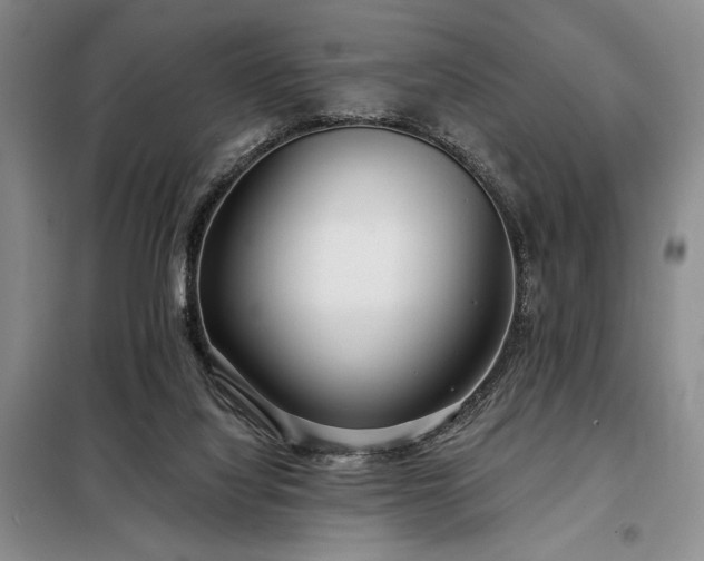X0000098210068200805011220